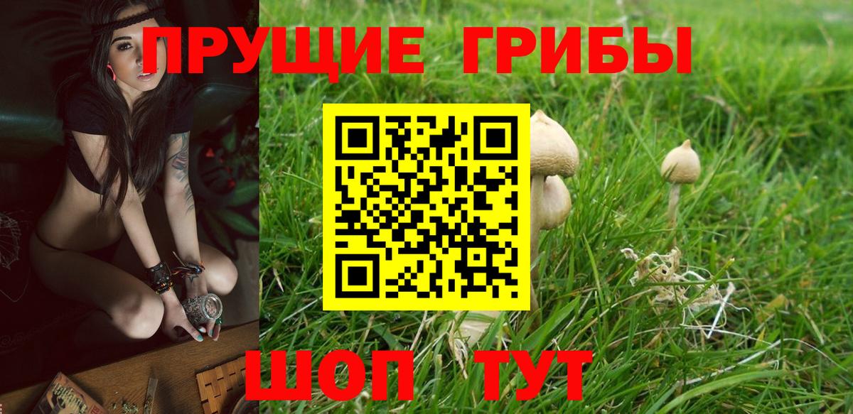 Псилоцибиновые грибы ЛСД Кропоткин